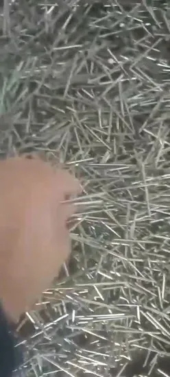 45# 9g 10g 12g 3/4" 1" 1.5" 2" 2.5" 3" High Quality Carbon Steel /Concrete Steel /Iron /Polished Wire /Common Round/Metal Nail for Building Construction