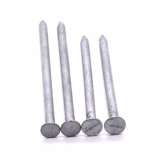 Q195 Material Clavo de hierro/Clavo pulido/Clavo galvanizado/Clavo galvanizado en caliente/Clavo de hardware/Clavo de construcción/Clavo de construcción